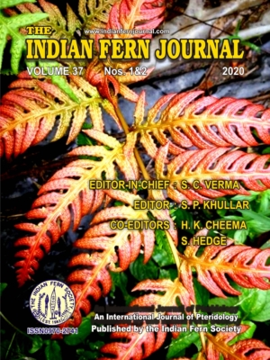 ifjCover