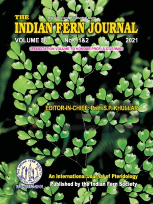 ifj 38 cover page